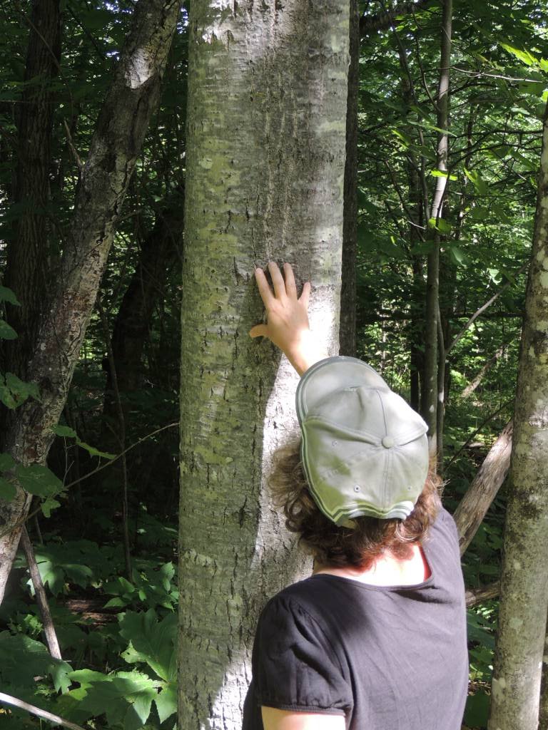 L'ours<small class="fine d-inline"> </small>?