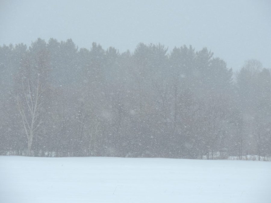 Jour 1 du printemps 2014 05