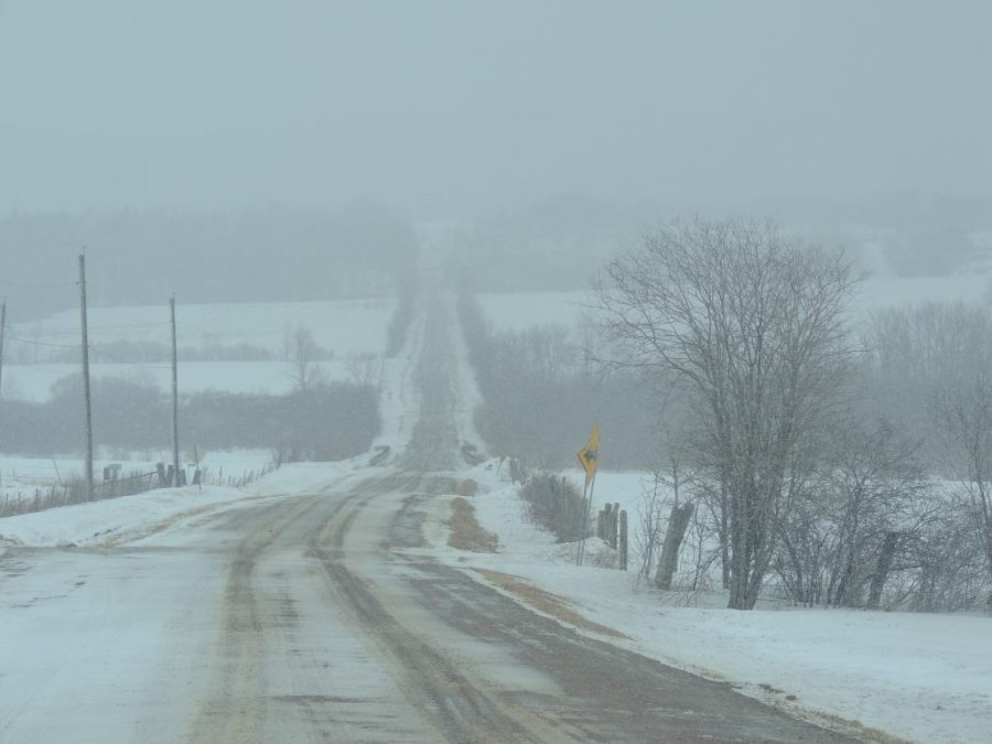 Jour 1 du printemps 2014 06