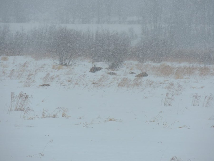 Jour 1 du printemps 2014 08