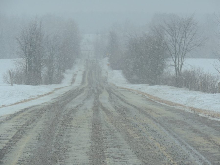 Jour 1 du printemps 2014 09