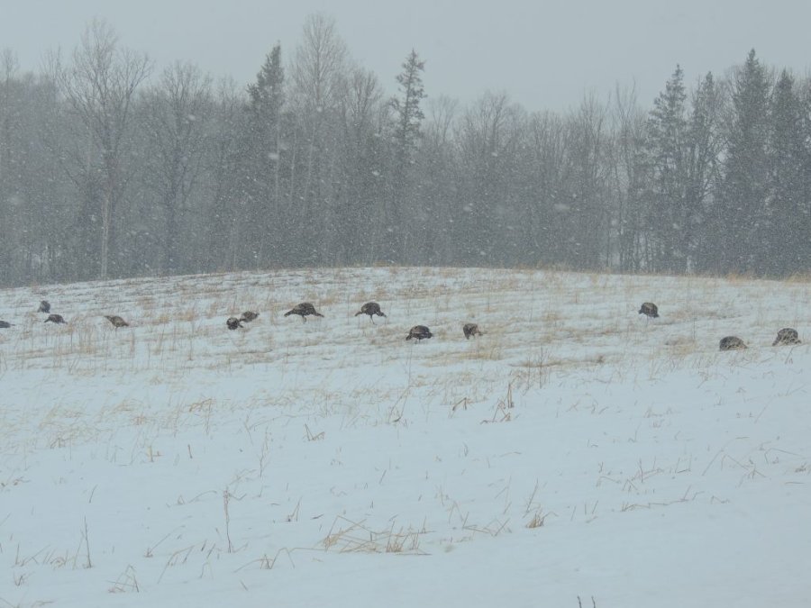 Jour 1 du printemps 2014 10