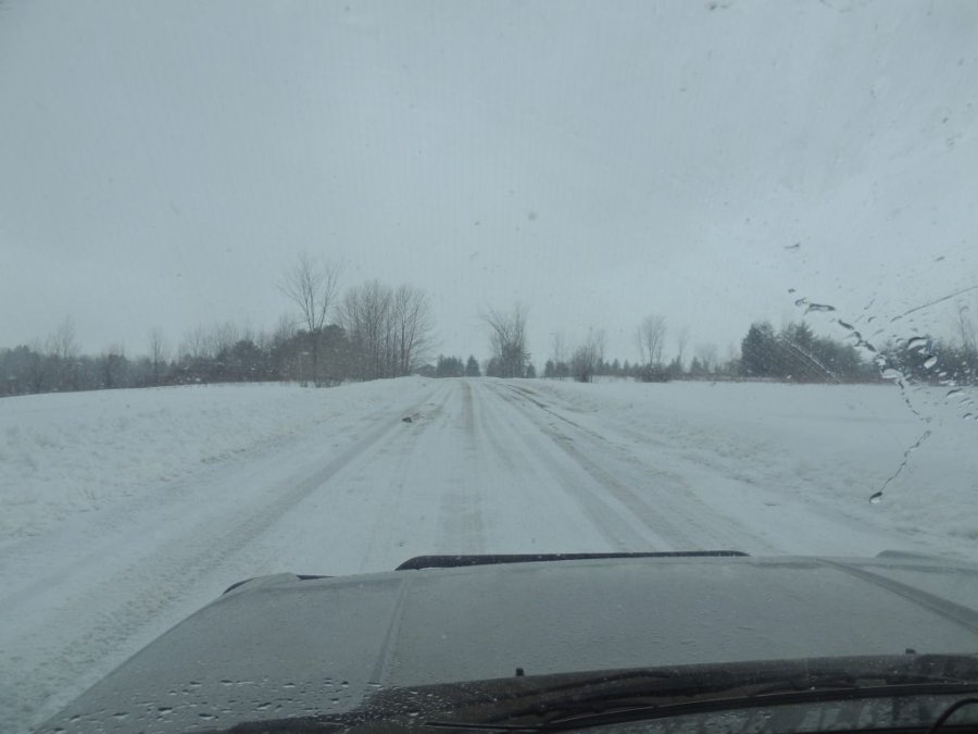 Jour 1 du printemps 2014 17