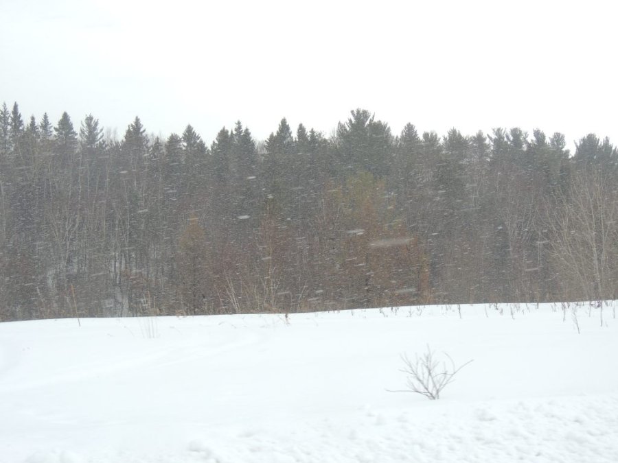 Jour 1 du printemps 2014 18