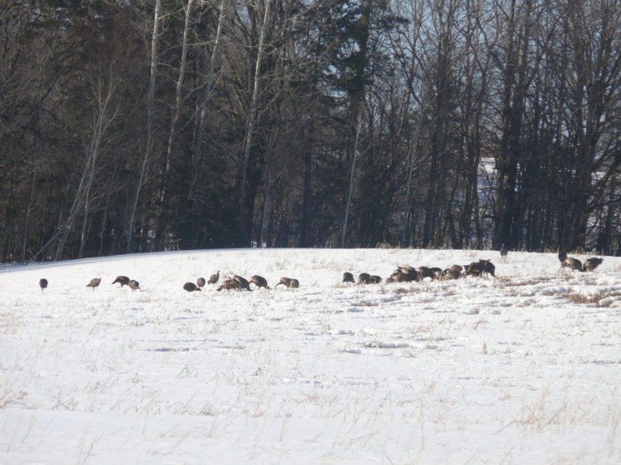Jour 2 du printemps 2014 02