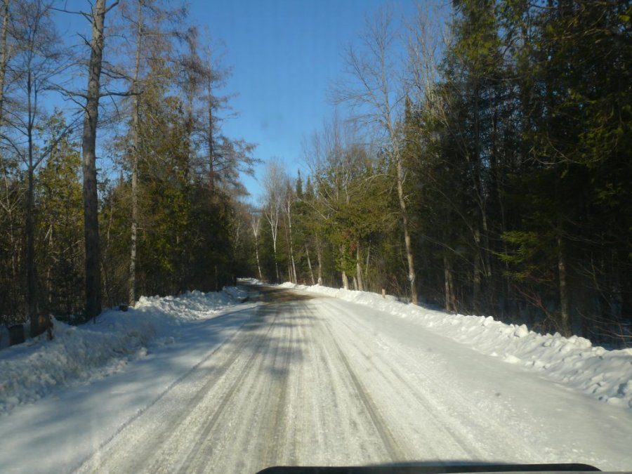 Jour 2 du printemps 2014 05
